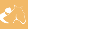 centar_emanuel_logo_2025